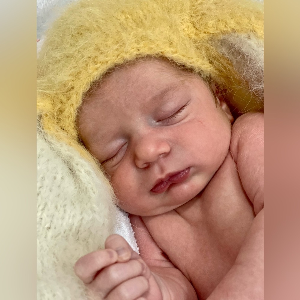 Newborn Knit Bunny hat